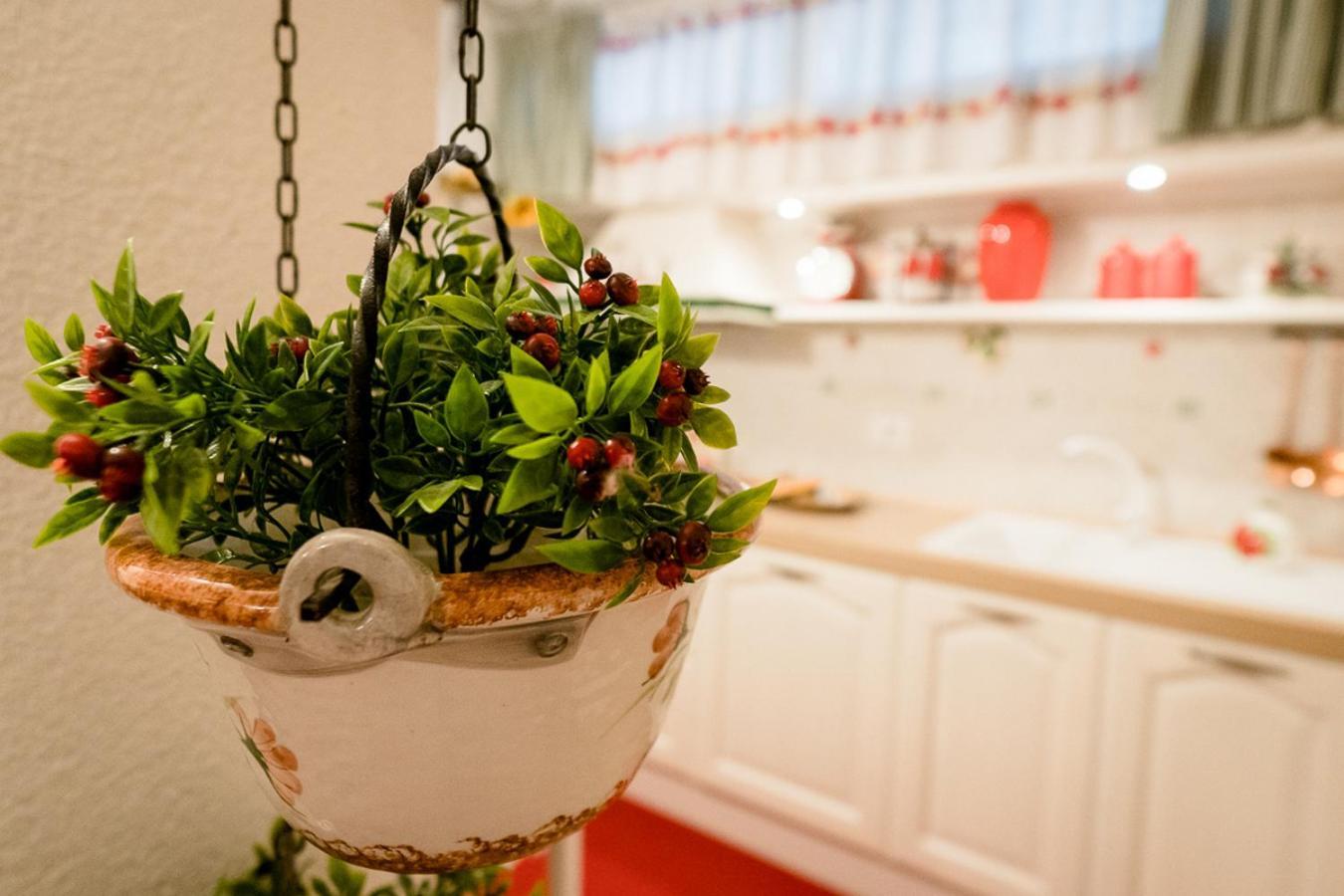 Apartment Il Papavero Rosso *